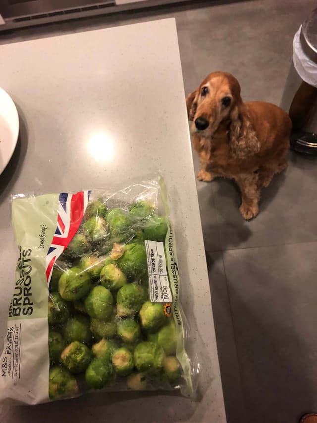 Brussel Sprouts