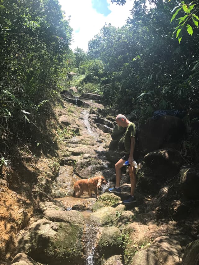 Walks by the waterfall