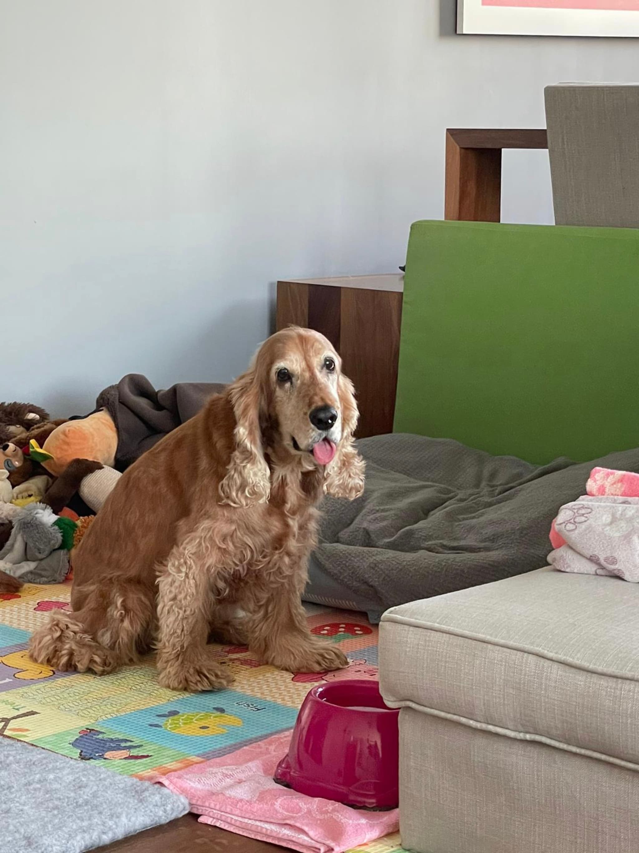 At home with her toys!